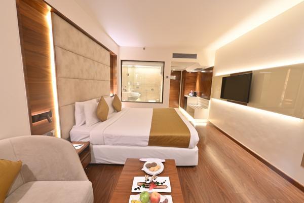 Premium Grand Room Sayaji Indore